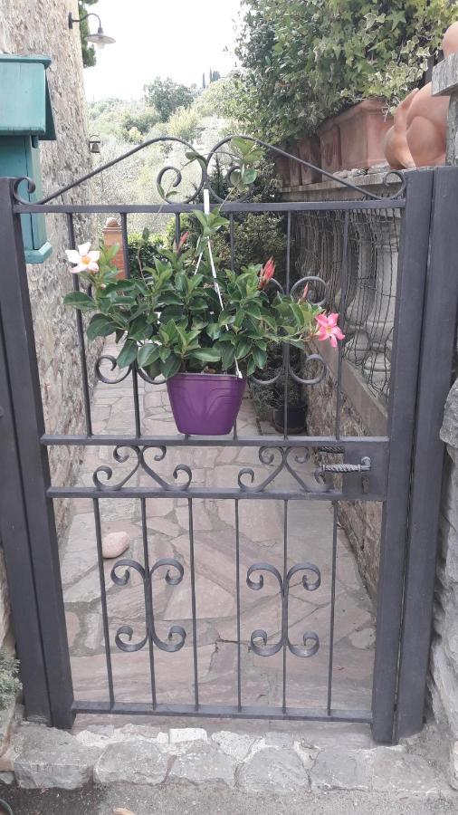 "La Casa Di Maria Luce" Con Terrazza Panoramica Appartement Gaiole in Chianti Buitenkant foto