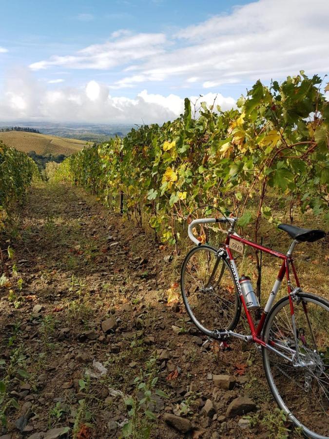 "La Casa Di Maria Luce" Con Terrazza Panoramica Appartement Gaiole in Chianti Buitenkant foto
