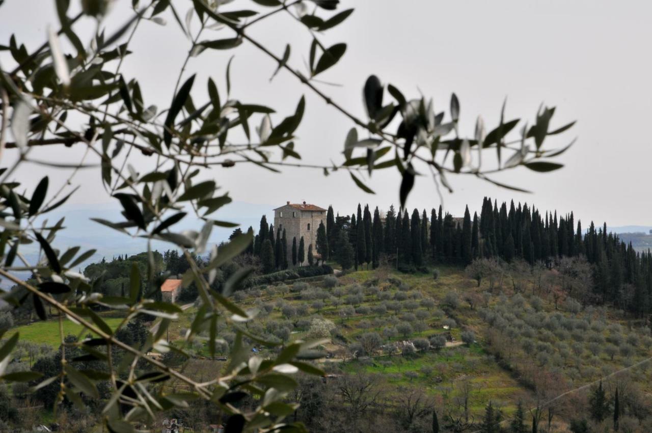"La Casa Di Maria Luce" Con Terrazza Panoramica Appartement Gaiole in Chianti Buitenkant foto